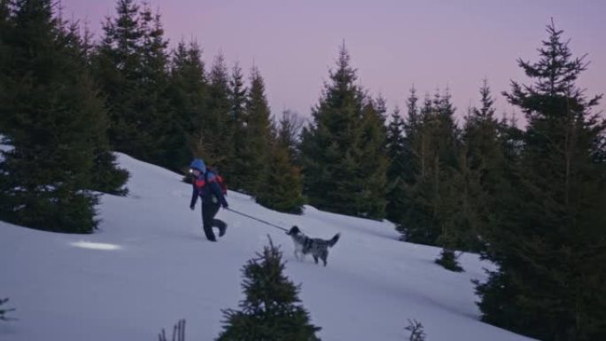黎明时分，SLO MO女人带着她的狗在雪坡上行走