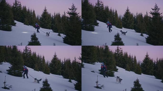 黎明时分，SLO MO女人带着她的狗在雪坡上行走