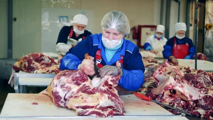屠宰场工人正在调料生牛肉