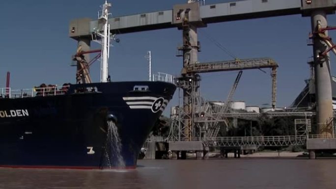阿根廷巴拉那河罗萨里奥谷物港的谷物散货船。
