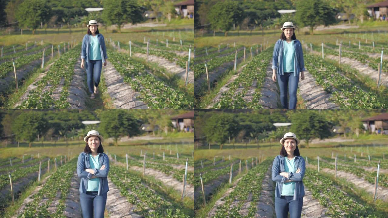 草莓农场的女农民1