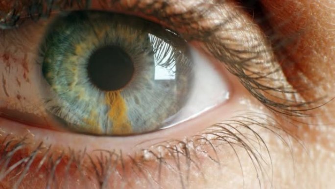 眼睛，扩张和虹膜在视觉上的意识和瞳孔在看人类眼睑开口的细节。光学、验光或眼部护理中聚焦视力的特写肖像