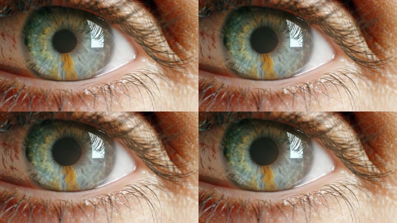 眼睛，扩张和虹膜在视觉上的意识和瞳孔在看人类眼睑开口的细节。光学、验光或眼部护理中聚焦视力的特写肖像