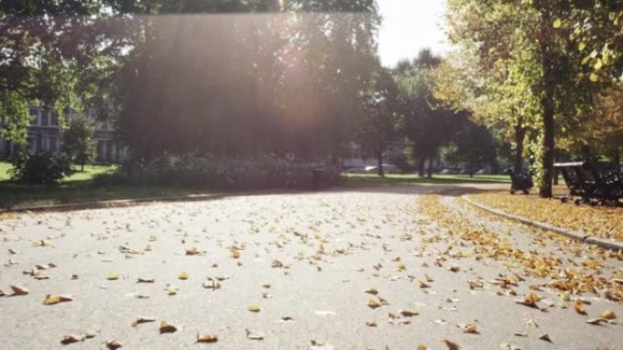 一个美丽的空旷公园的4k视频片段