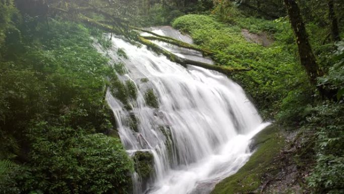 瀑布雨林郊外景区