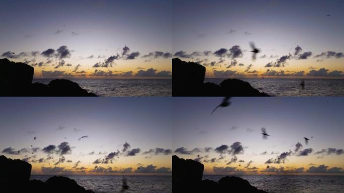 在热带岛屿上日落时飞行的一大群棕色Noddy燕鸥的鸟瞰图