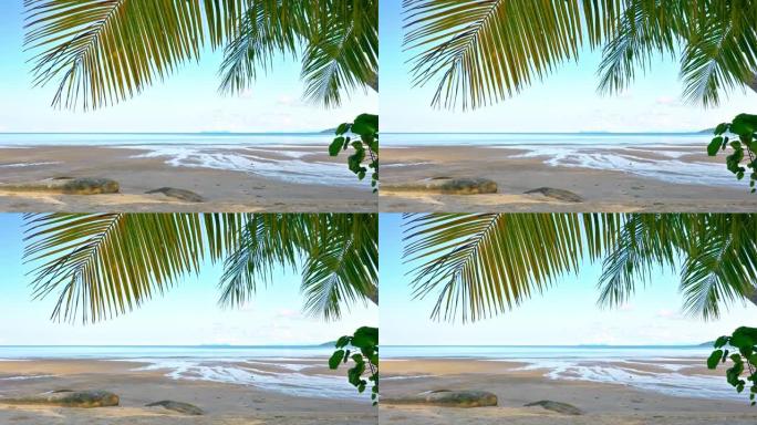 热带海滩。棕榈树。自然。岛屿