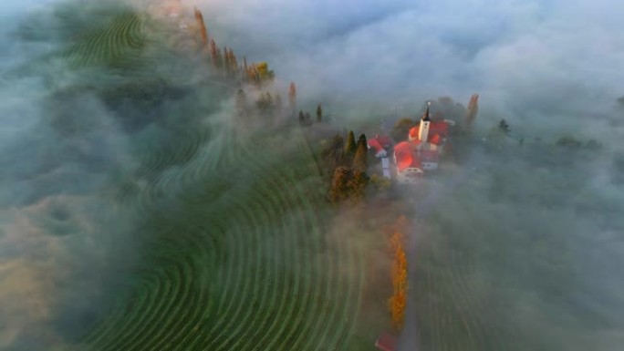 空中晨雾笼罩着一座被葡萄园包围的山顶上的教堂。杰鲁扎莱姆，吕托默。斯洛文尼亚的自治市。