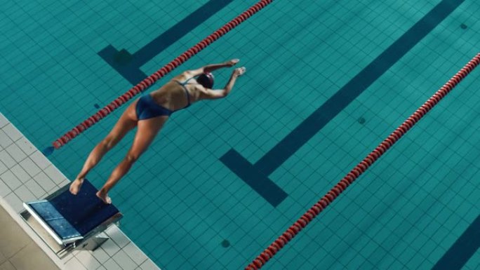 美丽的女游泳运动员在游泳池潜水。职业运动员优雅地跳跃。决心赢得冠军的人。电影静态锁定镜头。慢动作，时
