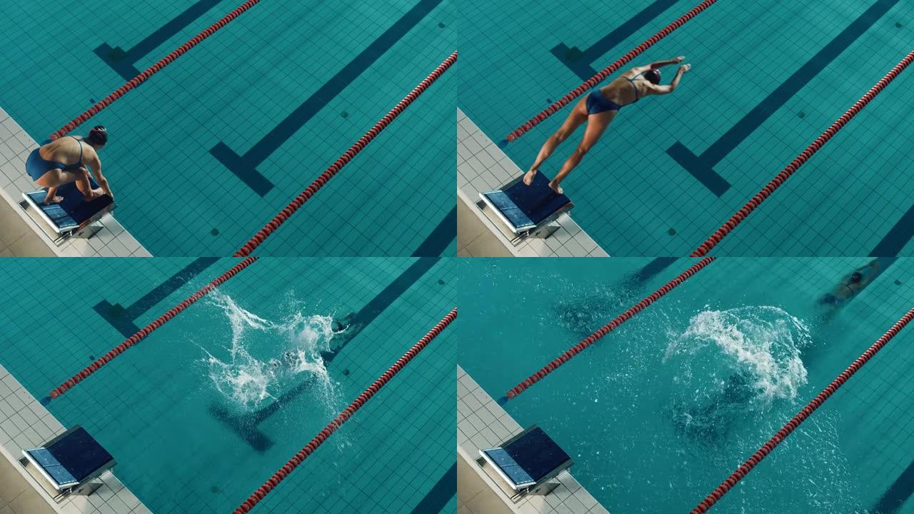 美丽的女游泳运动员在游泳池潜水。职业运动员优雅地跳跃。决心赢得冠军的人。电影静态锁定镜头。慢动作，时
