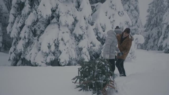 年轻夫妇在雪地里用圣诞树拉雪橇