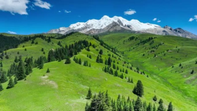 草原和森林深处是女神格尼山，高耸在天空