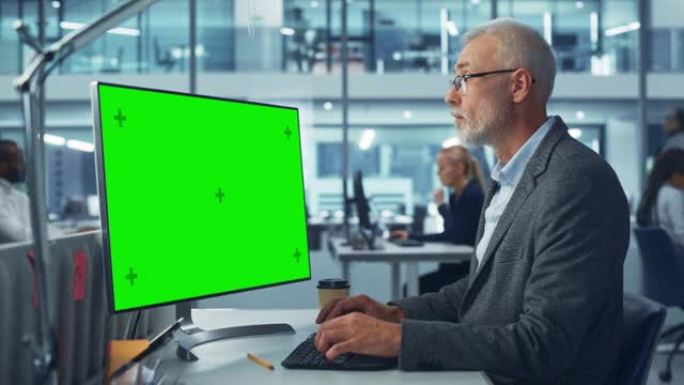 英俊的高级专家在繁忙的公司办公室中使用带有绿色色度键屏幕显示的台式计算机工作。成熟的男性经理创造性地