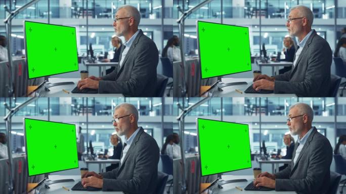英俊的高级专家在繁忙的公司办公室中使用带有绿色色度键屏幕显示的台式计算机工作。成熟的男性经理创造性地