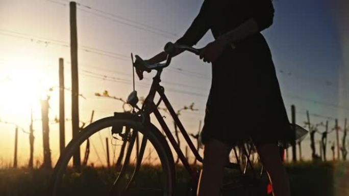 乡村田野上骑自行车走路的女人的剪影
