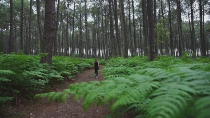 女运动员走过充满蕨类灌木的森林