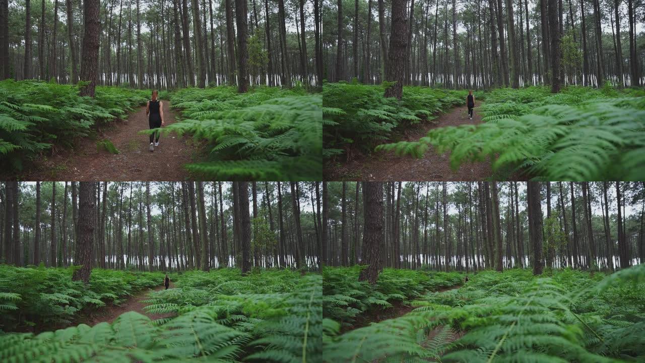 女运动员走过充满蕨类灌木的森林