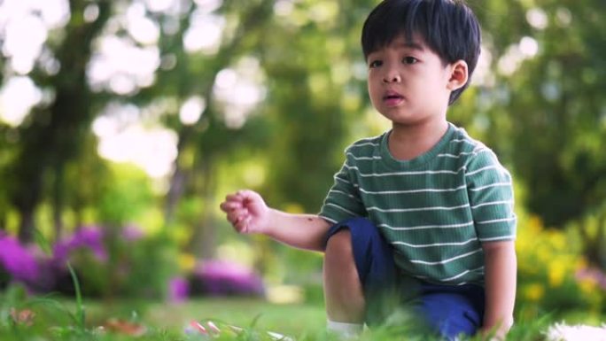 小男孩坐在花园里玩彩虹风车