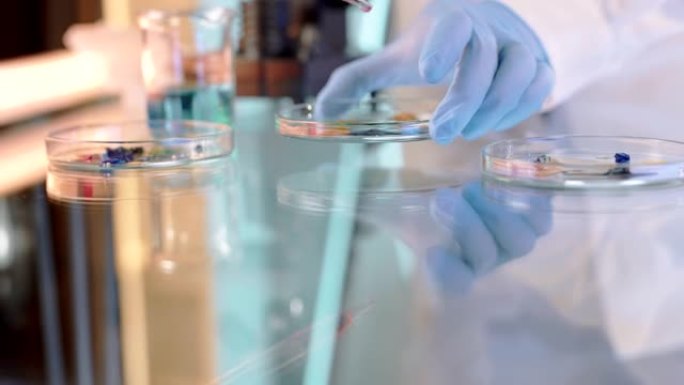 作为科学实验的一部分，SLO MO科学家将液体滴在培养皿中的细菌上