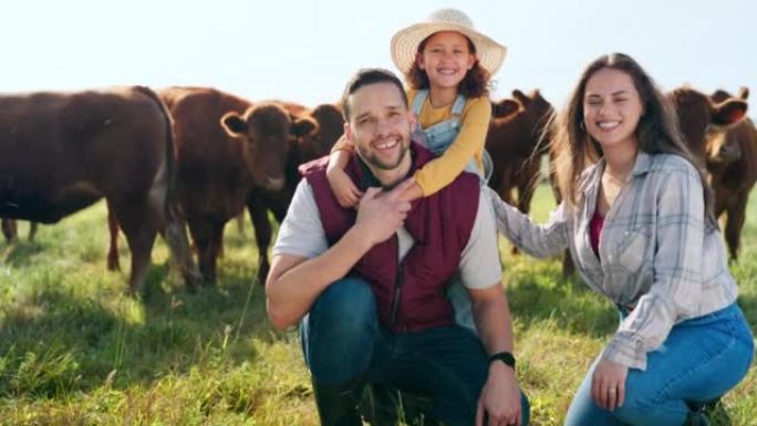 农业，牛和家庭热爱可持续发展，畜牧业和农业企业主的生活方式与草地。农村父亲，母子与牛做牛肉，肉业