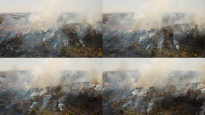 气候紧急情况。干旱和气候变化导致的南部非洲草地大火的鸟瞰图