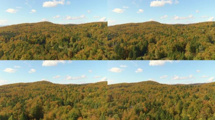 空中: 在阳光明媚的秋天，飞越森林的电影镜头改变了颜色