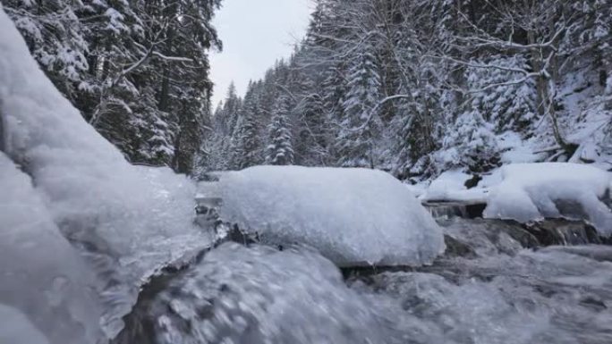 白雪皑皑的森林里长满冰块的冬天河。冬季自然背景与河流、冰和雪林