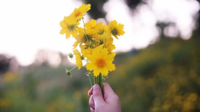 户外妇女手捧黄色花朵