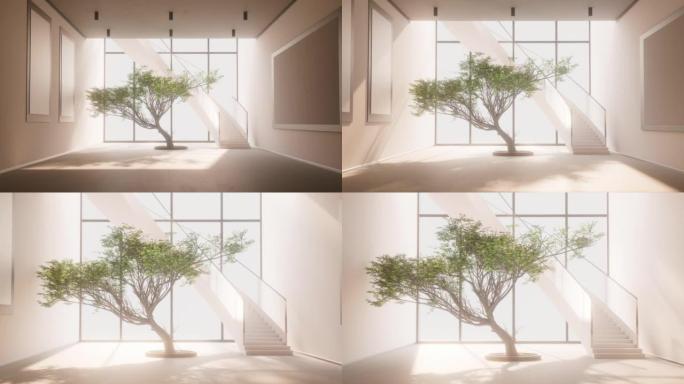 用现代设计放大3D渲染白色房间中的一棵树