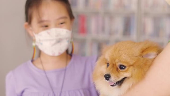 女孩和博美犬医院