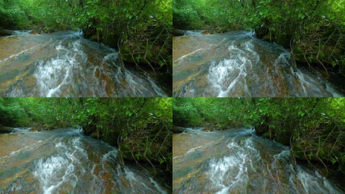 森林中的溪流水森林海氧吧瀑布溪流水