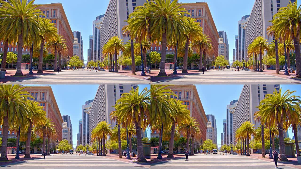 棕榈树门到旧金山金融区。