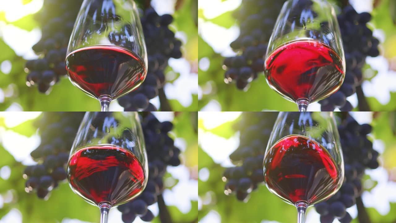 葡萄园背景下的华丽干红葡萄酒。陈年的红酒在玻璃杯中轻微飞溅。葡萄酒测试，酿酒厂，美国加利福尼亚州的酿
