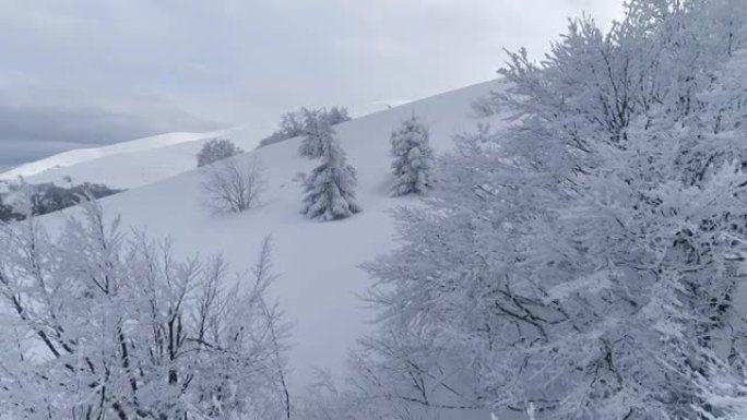 冬季山地景观，树木被雪覆盖。冰冻的白树树枝和山被厚厚的积雪覆盖的鸟瞰图。如火如荼的冬天