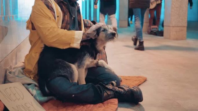 一个可怜的人和他的狗坐在地下通道的地上