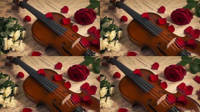 玫瑰花瓣散乱音乐激情概念小提琴