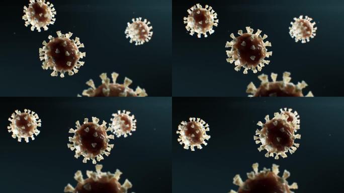 冠状病毒新型冠状病毒肺炎逼真的医学模型美丽的3d动画。科学概念