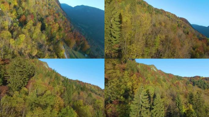 空中快速无人机在陡峭的山坡上的色彩缤纷的秋天森林上方飞行
