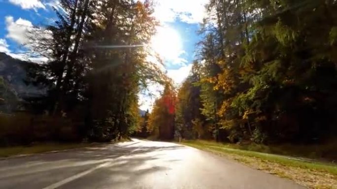在风景秀丽的道路上行驶，穿过秋天的森林