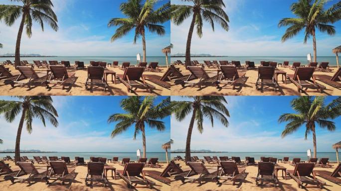 沙滩上有椰子树的躺椅和雨伞