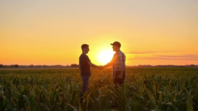 两个农民在黄金时段的玉米地里握手
