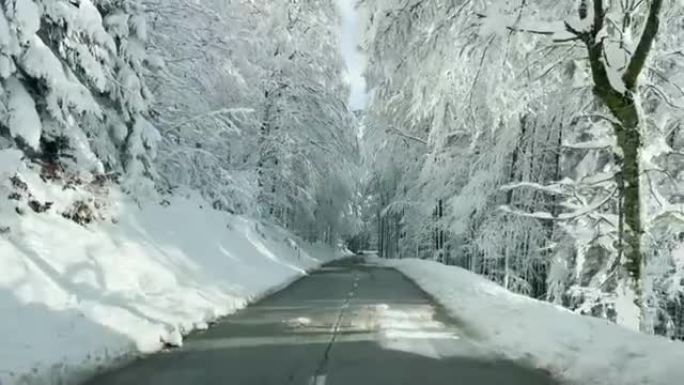 POV: 第一人称在阳光明媚的冬日开车沿着空旷的森林路行驶。
