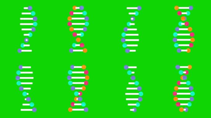 基因DNA和RNA结构绿屏