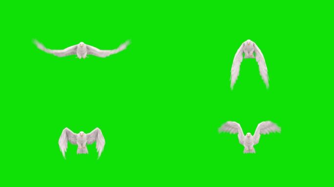 绿屏白鹰飞行动画。动物的概念，野生动物，游戏，返校，3d动画，短视频，电影，卡通，有机，色键，人物动