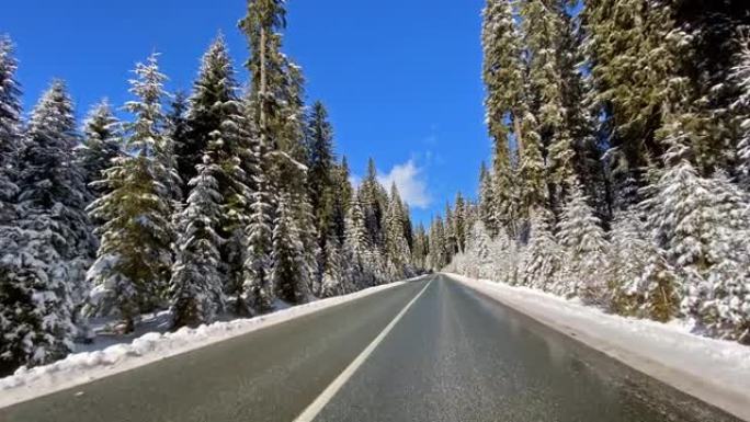 在白雪覆盖的森林中，在白雪覆盖的乡村道路上行驶的观点