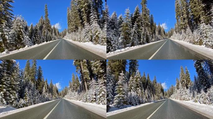 在白雪覆盖的森林中，在白雪覆盖的乡村道路上行驶的观点