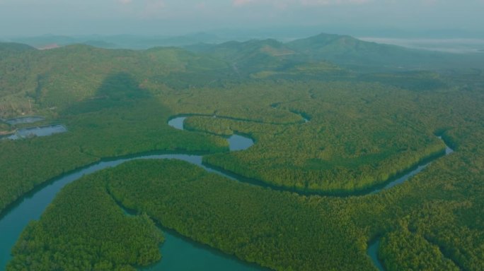 从水上俯瞰热带岛屿上的红树林。