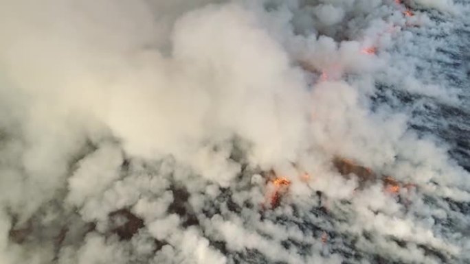 飞越野火和浓烟。极端高温和气候变化导致的自然灾害。鸟瞰大烟云和火场。草火航拍。大烟云和火。气候变化概