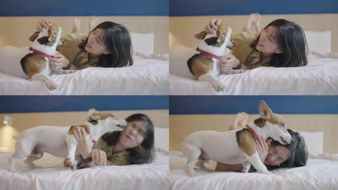 年轻的亚洲妇女在床上被狗舔了舔