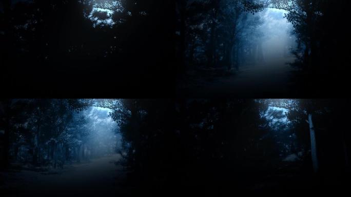 夜间在森林中的月光下沿着小路通行第一人称视角